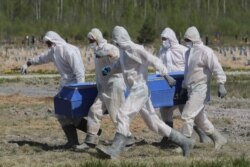 Могильщики несут гроб с телом одной из жертв COVID-19 в окрестностях Санкт-Петербурга