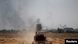 буудай талаасы