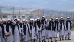 آرشیف، رهایی صد تن از زندانیان گروه طالبان از سوی حکومت افغانستان