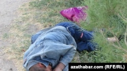 Жол боюнда жаткан мас. Түркмөнстан. 9-октябрь, 2013.