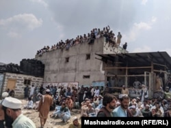 خلک په بامونو او دیوالونو ناست دي او د مشرانو خبرې اوري.