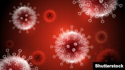 Иллюстрациялык сүрөт.