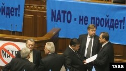 Депутаты от оппозиции требуют объявить референдум по НАТО еще до рассмотрения Альянсом вопроса о возможности присоединения Украины