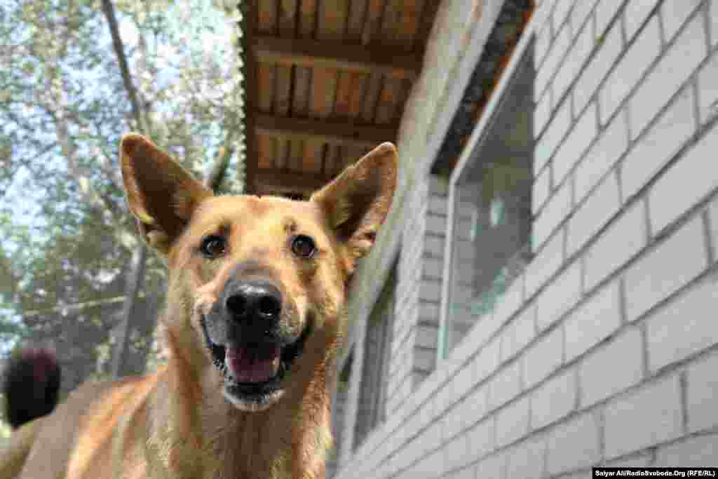 Попри пекуче сонце, атмосфера тут позитивна