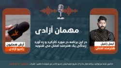 مهمان آزادی