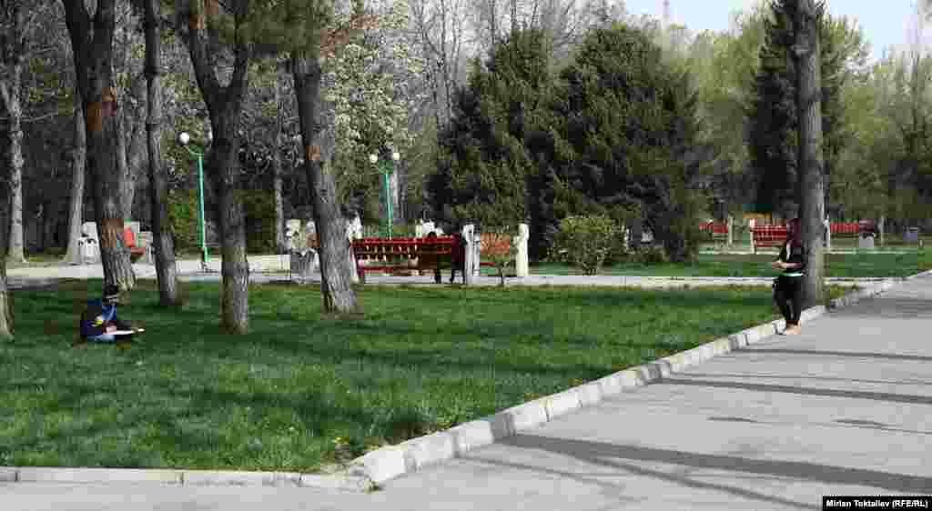 Когда-то каждое утро сюда приезжала выездная библиотека, расставлялись вдоль аллей столы, стулья, раскладывались книги