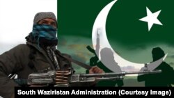 “Техрик-и Талибан Пакистан” уюму менен сүйлөшүүлөрдү чагылдырган плакаттар.