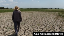 Иллюстрациялык сүрөт.