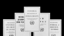 Адам укуктары: Күн баарына тегиз тийиши керек. 1-бөлүк