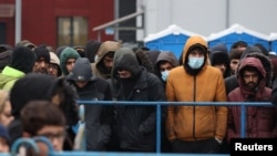 Беларус-Польша чек арасындагы мигранттар. 18-ноябрь, 2021-жыл