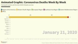 Animated Graphic: Coronavirus Deaths Week By Week