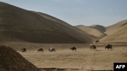 خشکسالی باعث گردیده است تا تعداد قابل ملاحظه یی از روستا نشینان مناطق خود را در افغانستان ترک کنند