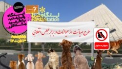 ایستگاه فردا: مجلس در برابر حیوانات (۲)