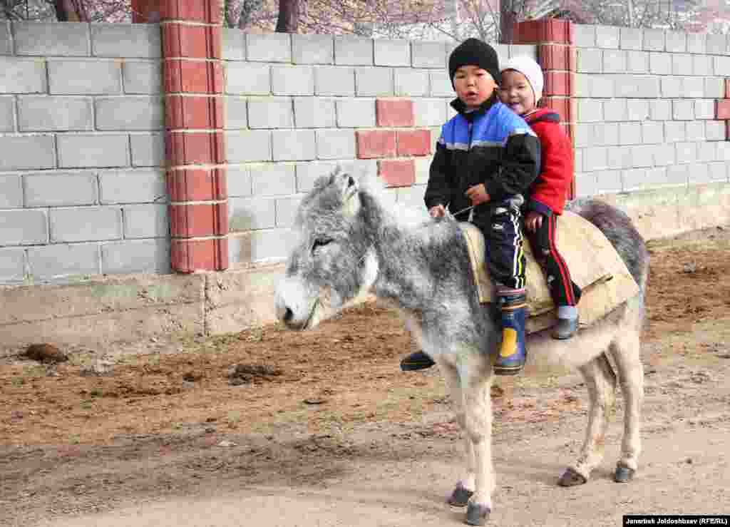 Ослик - незаменимое транспортное средство в горах.