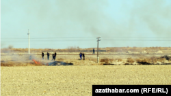 Пшеничное поле. Туркменистан (Иллюстративное фото)   