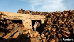 یک چوب فروشی در کابل. عکس از آرشیف
شماری زیاد از خانواده ها در کابل و برخی ولایات برای گرم کردن خانه های شان در زمستان از چوب استفاده می کنند. طبق برخی گزارشها نرخ یک خروار (80) سیر چوب در افغانستان امسال از 7500 تا 8500 افغانی است. 