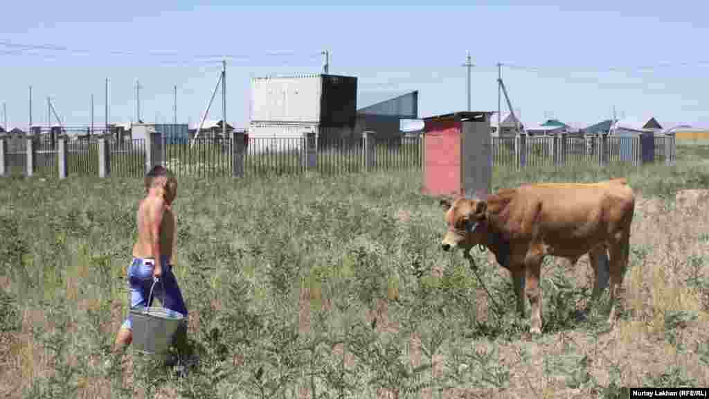Дом бабушки расположен примерно в пяти километрах от дома Нурсултана. Его бабушка живет недалеко от школы в Жалгамысе. Она недавно переехала в село из Талдыкоргана. У бабушки Нурсултана &ndash; небольшое хозяйство, во дворе есть куры и коровы. Нурсултан взялся ухаживать за теленком &ndash; теперь он каждый день приносит ему воды.