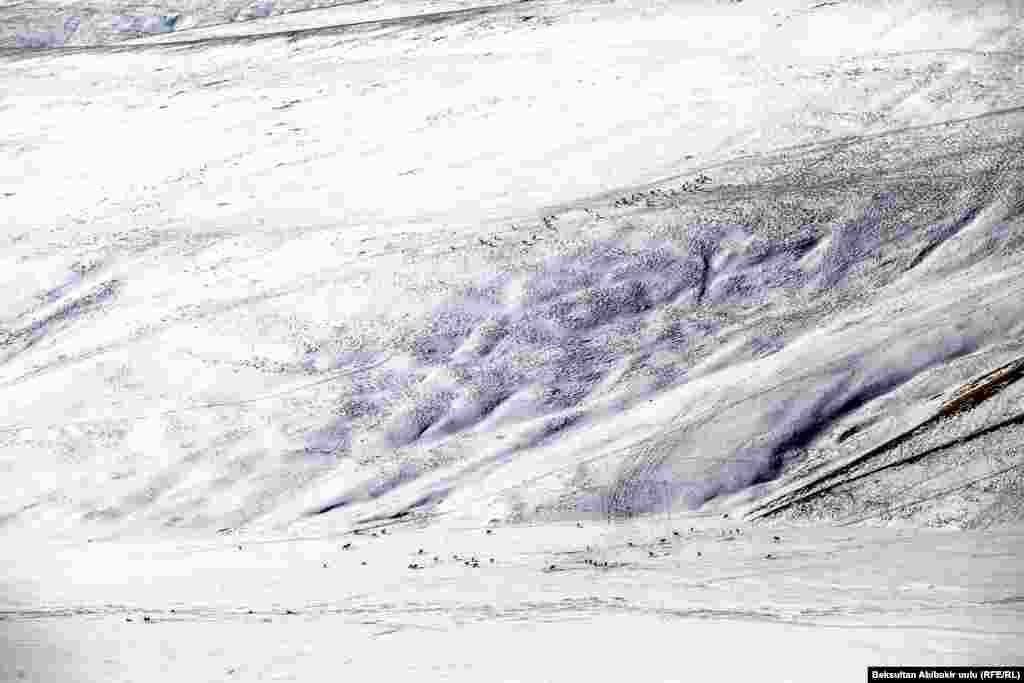 Ак-Шыйрак.&nbsp;