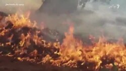آتش‌سوزی در جنگل‌ها؛ "سرمایۀ نورستان می‌سوزد"