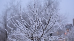 Aýazly howa: Aşgabatda tok, suw kesildi. Lebapda gaz üpjünçiligi pes. Maryda birnäçe öýde ýangyn döredi