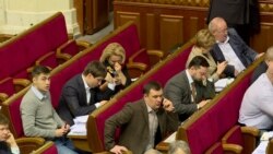 Олена Сотник про голосування за «безвізовий пакет»