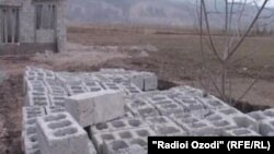 Акс аз бойгонӣ.