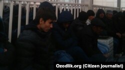 Мигранты в ожидании патента 