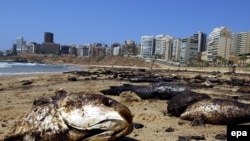 Война продолжается, дипломаты заседают...