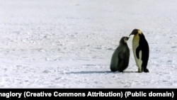 Загалом на конкурс подалися 88 кандидатів