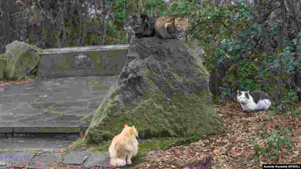 Коти в парку Лівадії