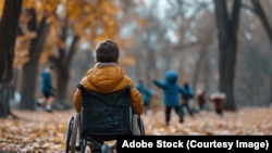 Иллюстрациялык сүрөт.