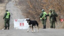 Дороги к свободе. Конфликт или диалог?