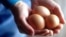 Особливо приголомшливим для споживачів стало те, що вміст отруєних речовин знайшли саме у біояйцях