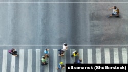 За словами Олега Немчінова, перепис потрібно обов’язково проводити, але «це дороге задоволення»