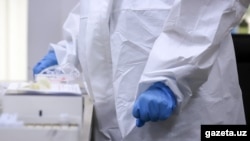 Иллюстрациялык сүрөт. 