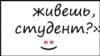 Как живешь, студент?