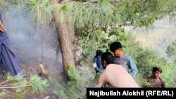 آتش‌سوزی در جنگلات خوست