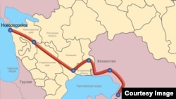 Каспий кууру. Иллюстрация сүрөт.