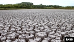 Засуха в Волгоградской области. Иллюстративное фото