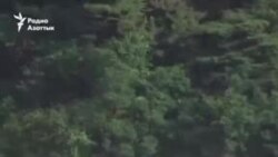 The New York Times: Белый дом снял ограничения на использование дальнобойных ракет Украиной

