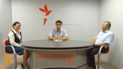 “Бийликти кулатуу” долбоорунун автору ким?