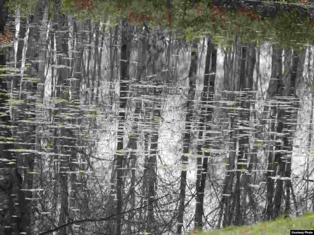 В городе Сестрорецк, расположен на юге Карельского перешейка на северо-западе России