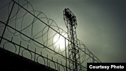 Архив фотосы