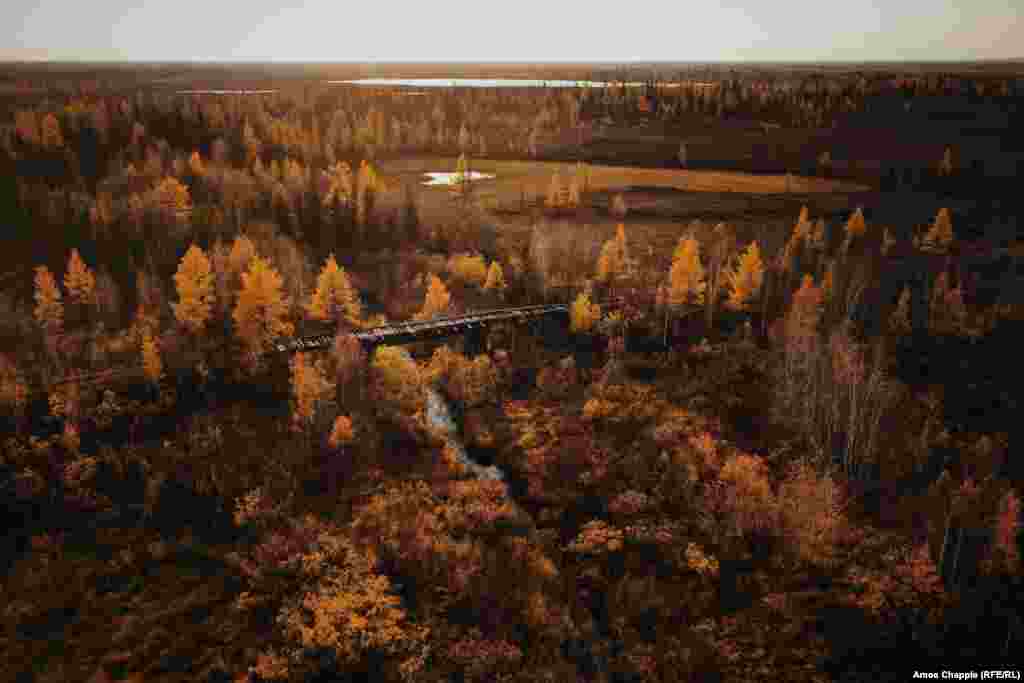 Залишки залізниці, відомої як сталінська &laquo;Дорога смерті&raquo;, в російській тайзі між Салехардом і Надимом, 23 вересня. Детальніше про один з трагічних проектів ГУЛАГу в Радянському Союзі дивіться наш фоторепортаж photo feature. (Амос Чаппл, Радіо Свобода/Радіо Вільна Європа)&nbsp;