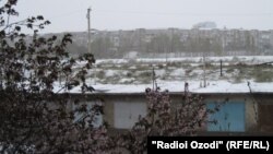 Хуҷанд, барфрезии 30 марти 2015