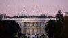 قصر سفید اجازه شریک کردن راپورهای استخباراتی به بایدن را داد