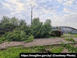 Наступствы шторму ў Магілёве. 10 ліпеня 2025 году