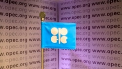 "Пора бомбить Вену", - пишут в твиттере