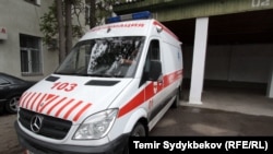 Иллюстрациялык сүрөт. 