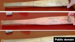 Түбән Кама колониясендә табылган агач күсәк